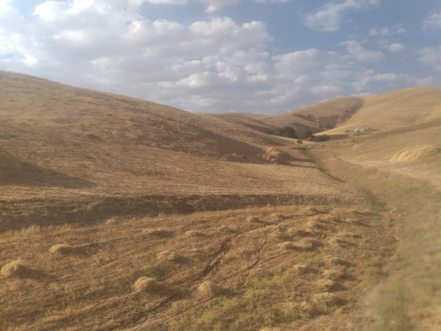 زمین کشاورزی