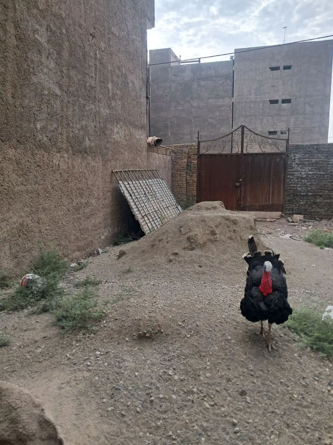 چاردیواری