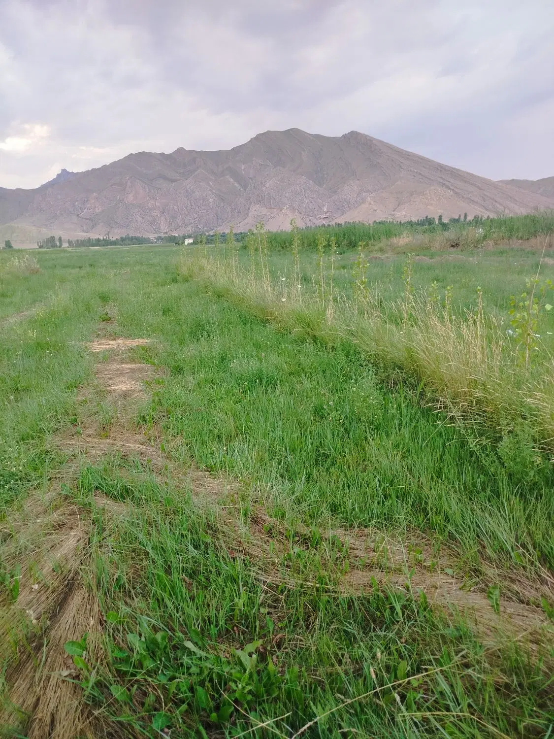 زمین کشاورزی مناسب برای احداث باغ در گجوت