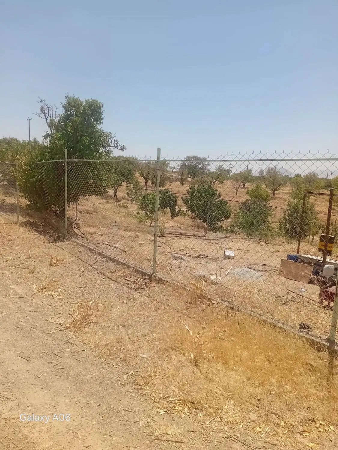 زمین زراعی
