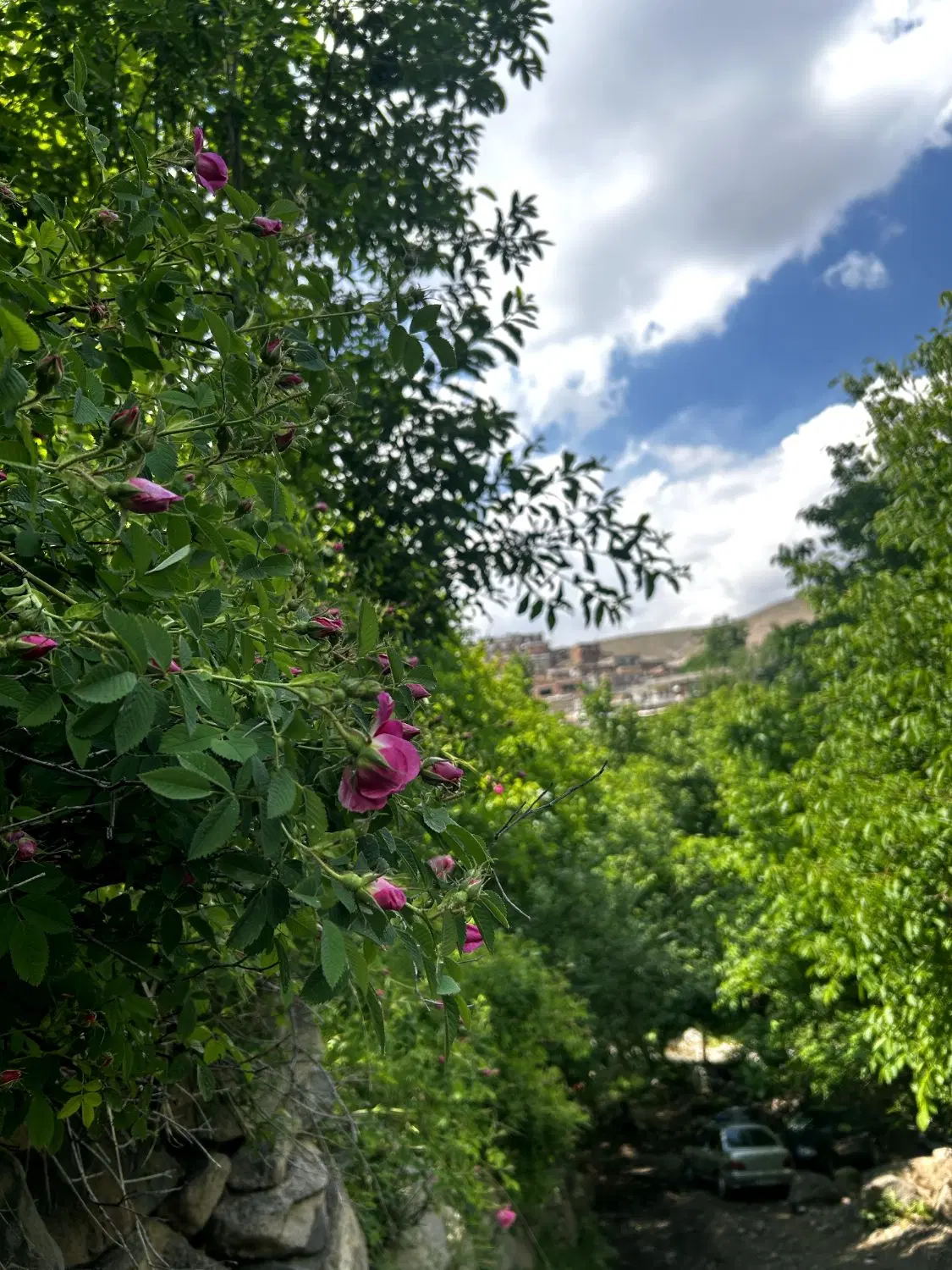 حیاط مسکونی در بناب مرند به متراژ ۱۷۰ متر
