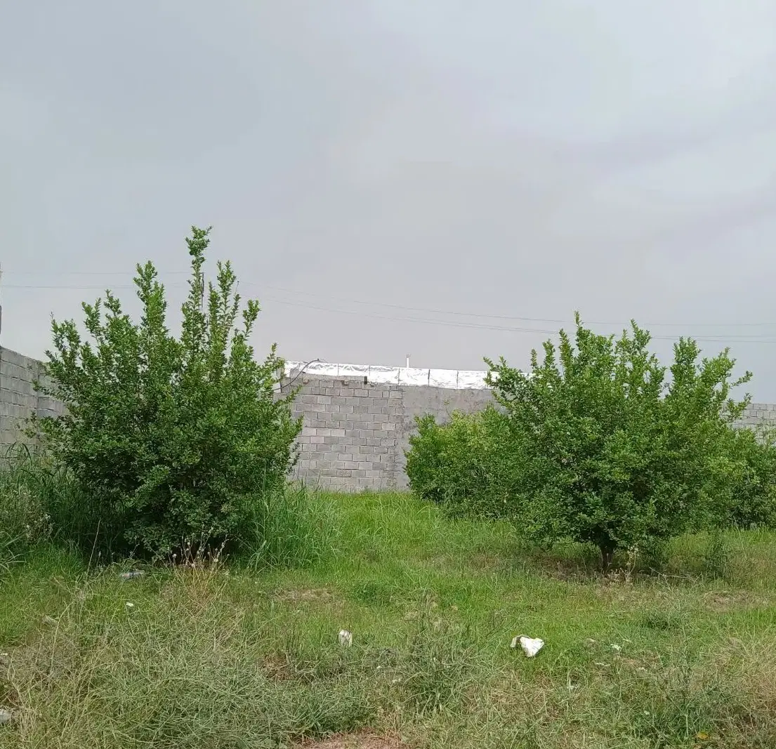 باغچه بن جعفر،برق و آب