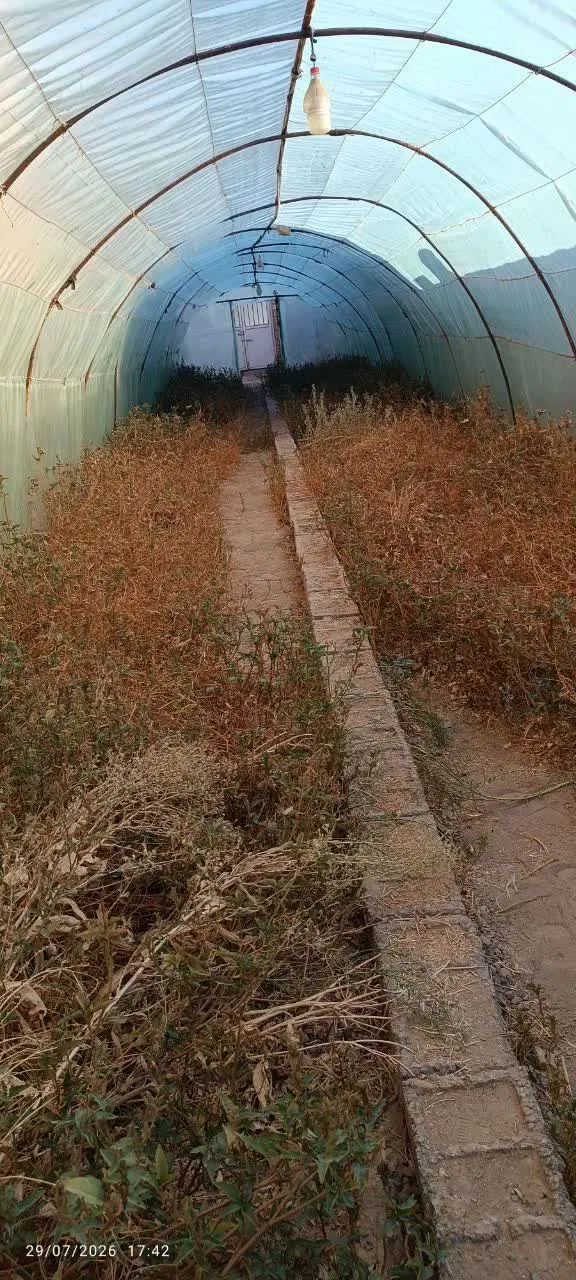 گلخونه
