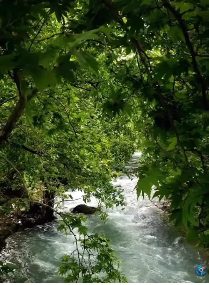 زمین ویلای طزرجان