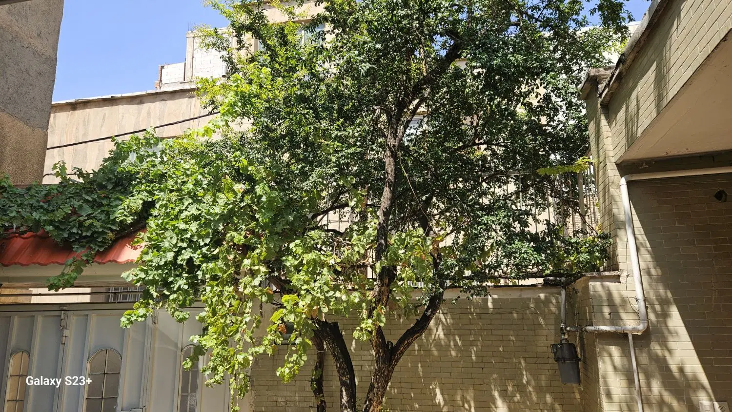 ویلایی در بلاغی