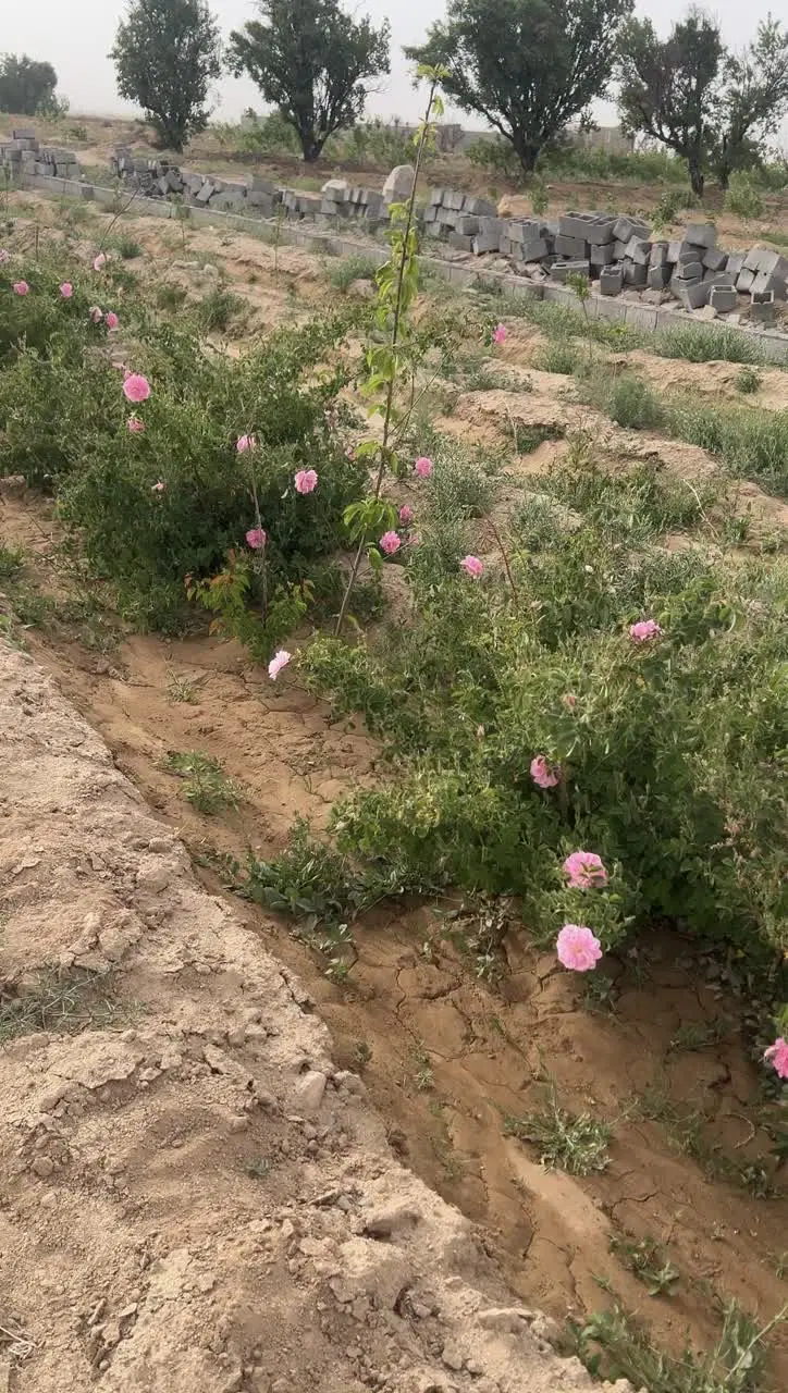 آب و زمین.احمدآبادچهل گزی.بعداز تنگ چنار