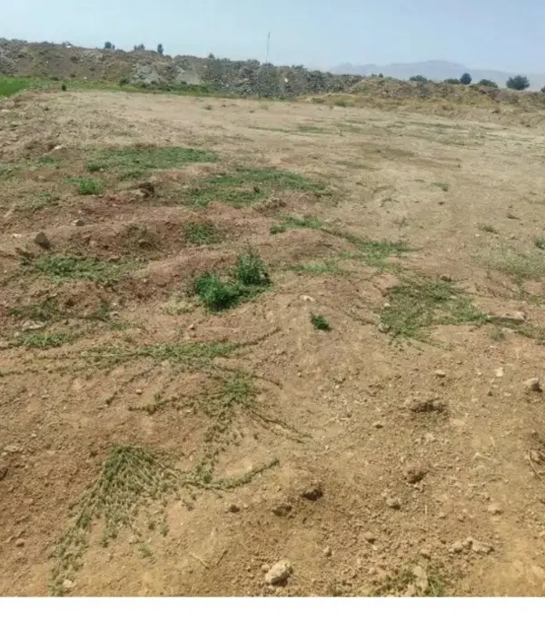 1000متر زمین مناسب باغ