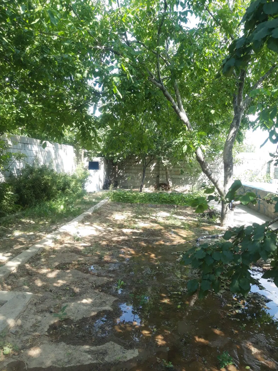 باغ ویلایی