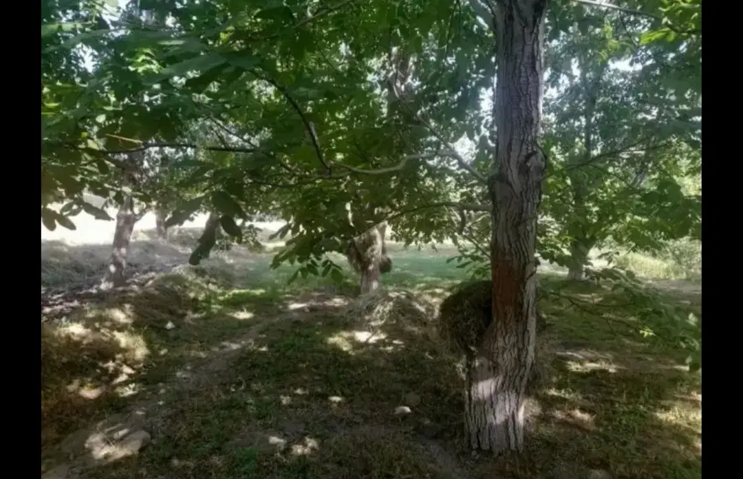 زمین جاسب زیر قیمت