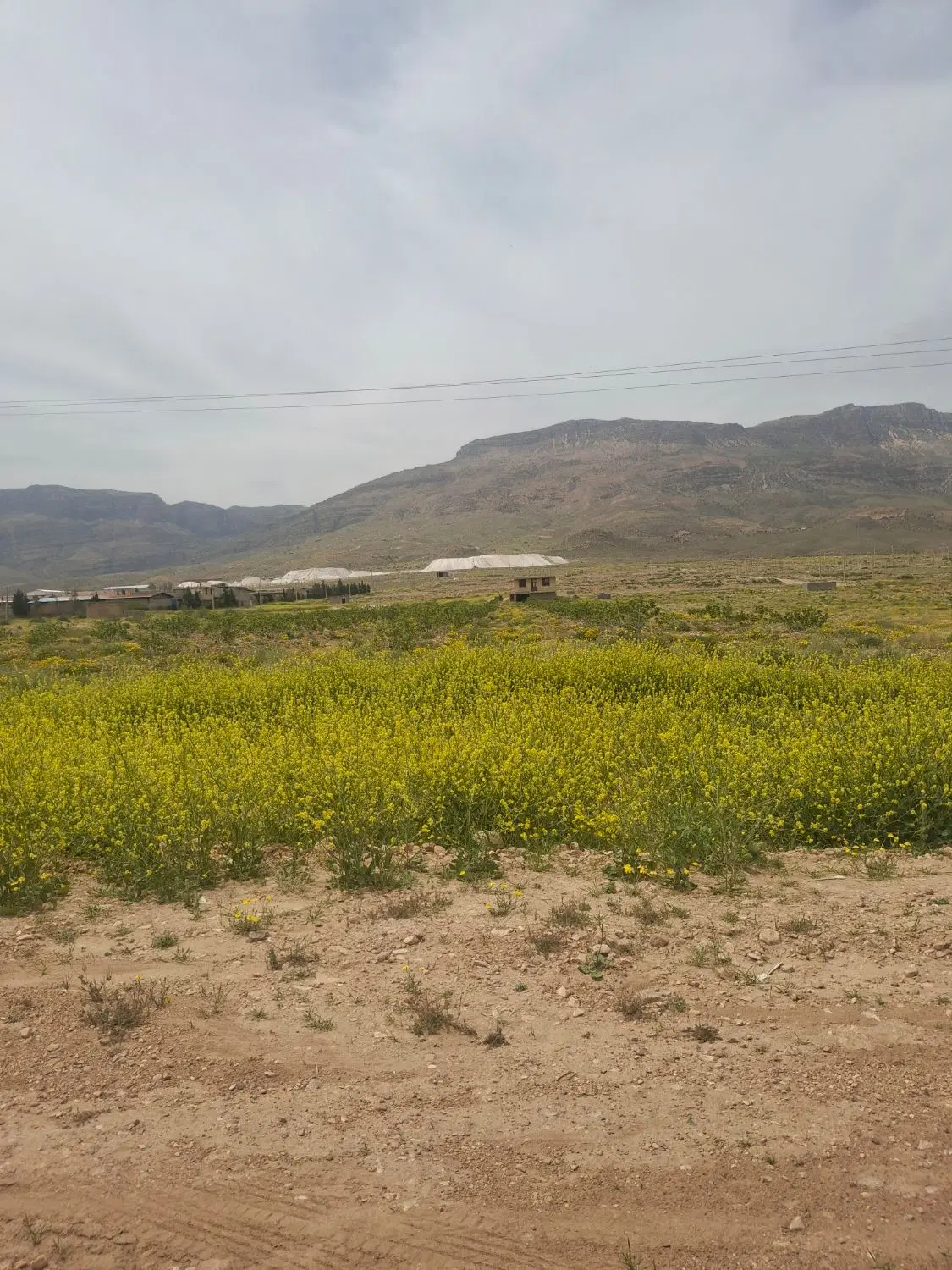 زمین برجاده اصلی نی‌ریز استهبان جنب سنگبری ها