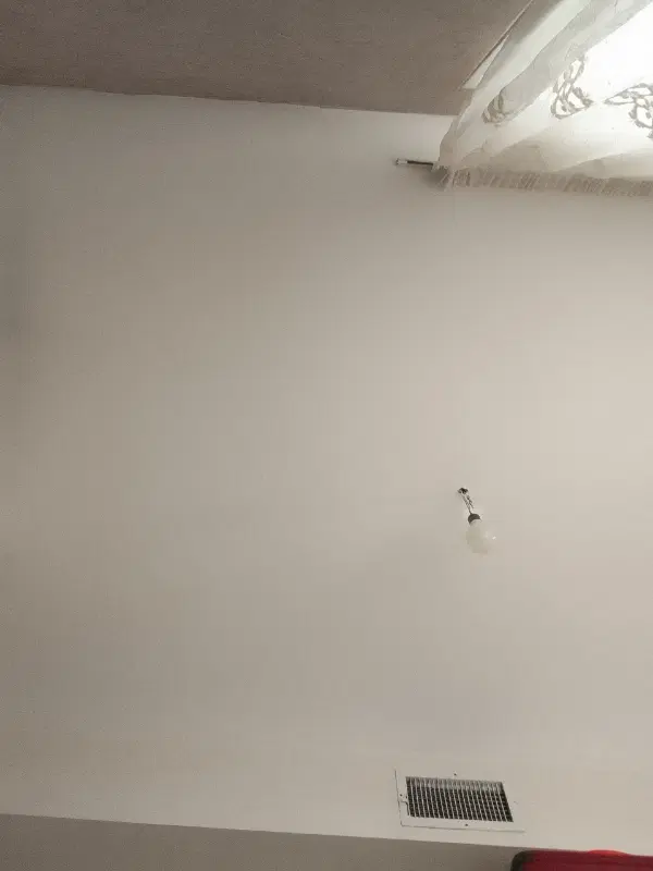 همخونه