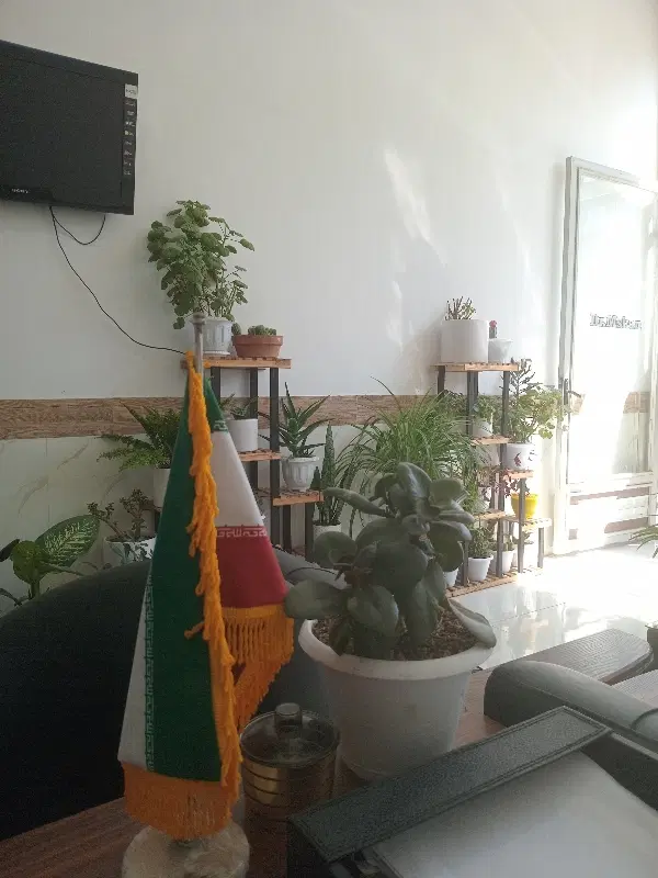 کارشناسان پشت شهرداری  فروزش