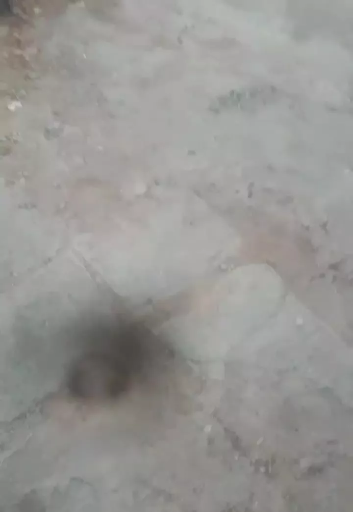 باغ