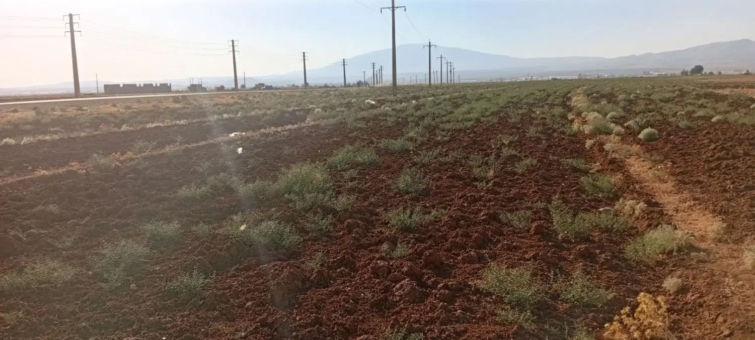 زمین در بیلوردی