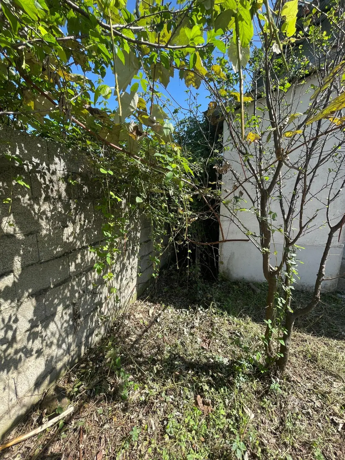 زمین ویلایی