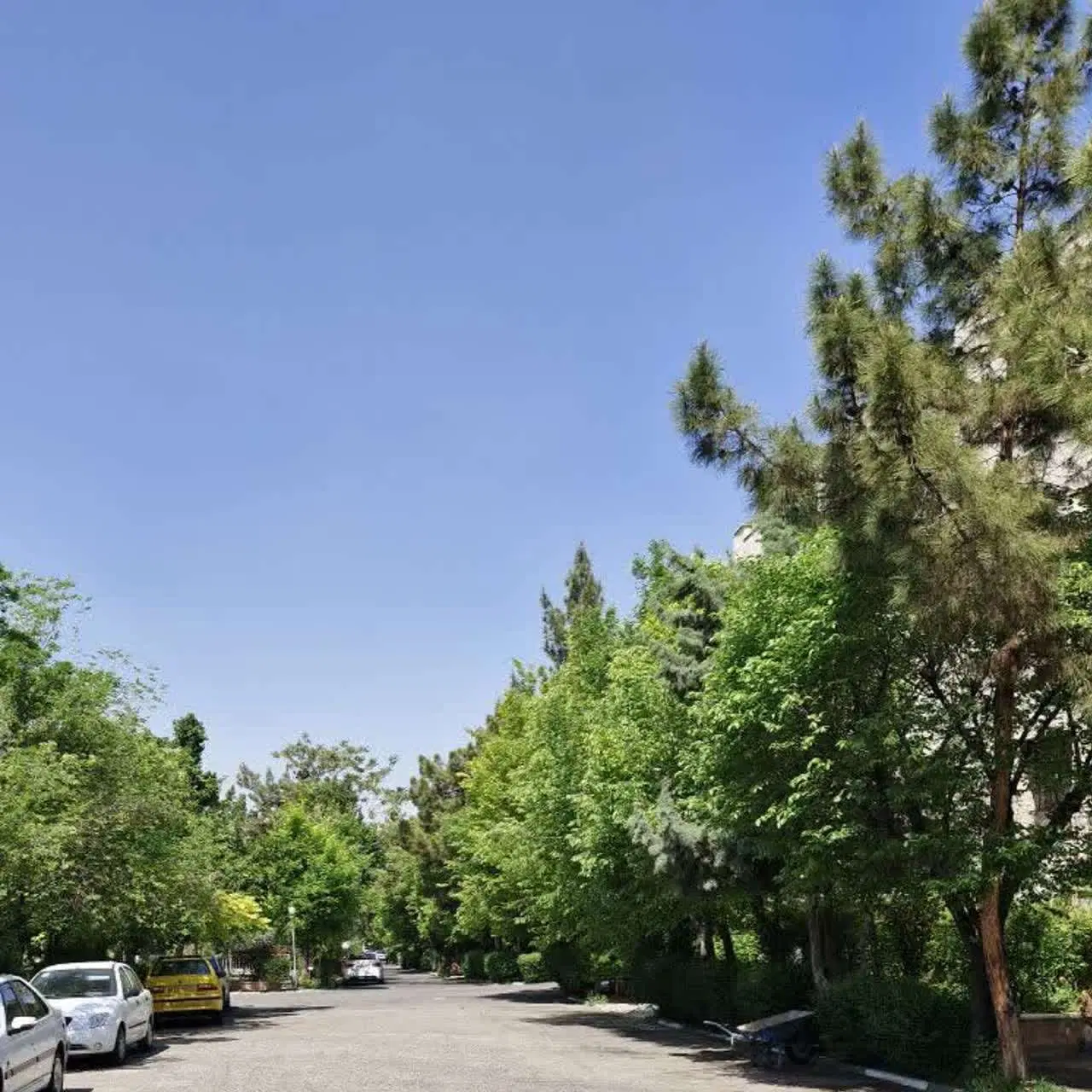 اجاره
