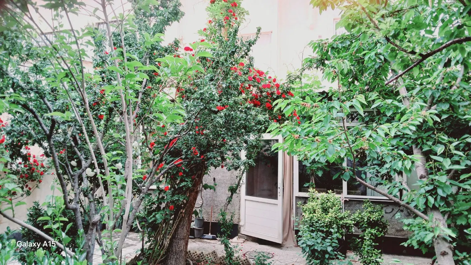 ۱۱۵مترهمکف جنوبی حافظ