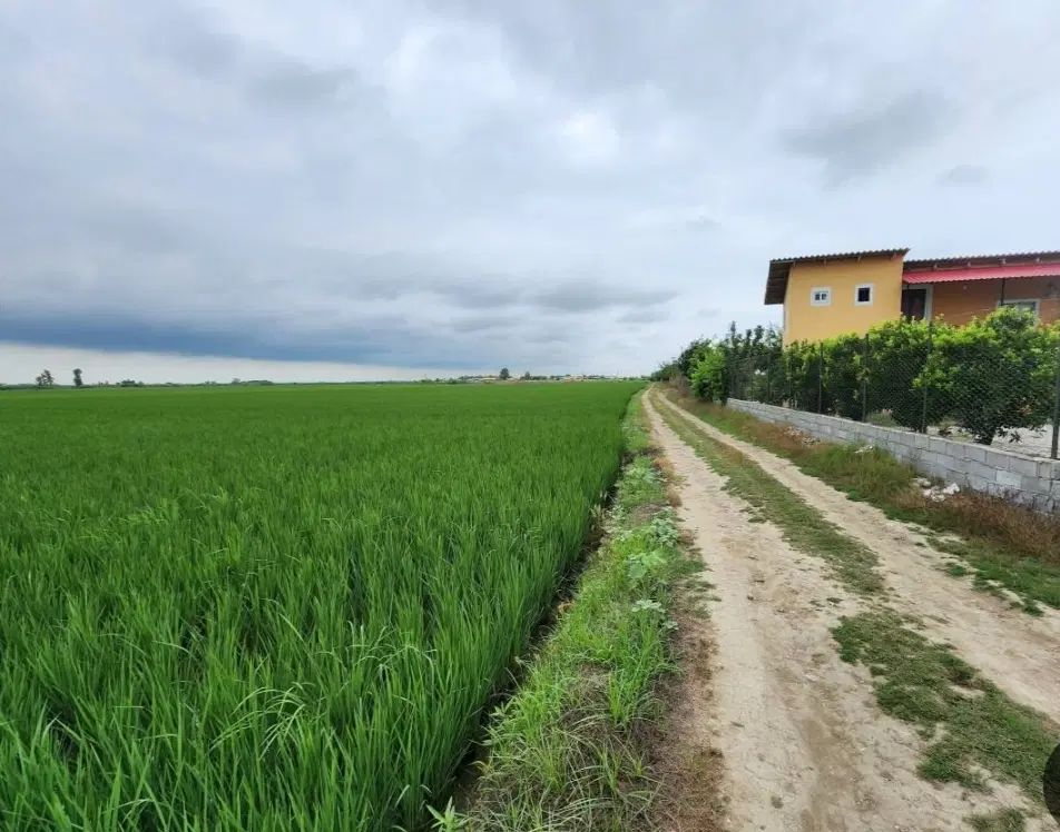 زمین250متر برای خانه سازی نزدیک دریا کرفون