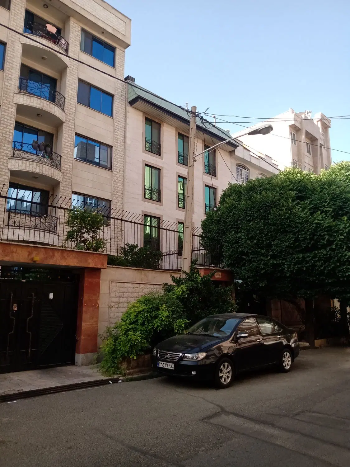 فروش گلنگی