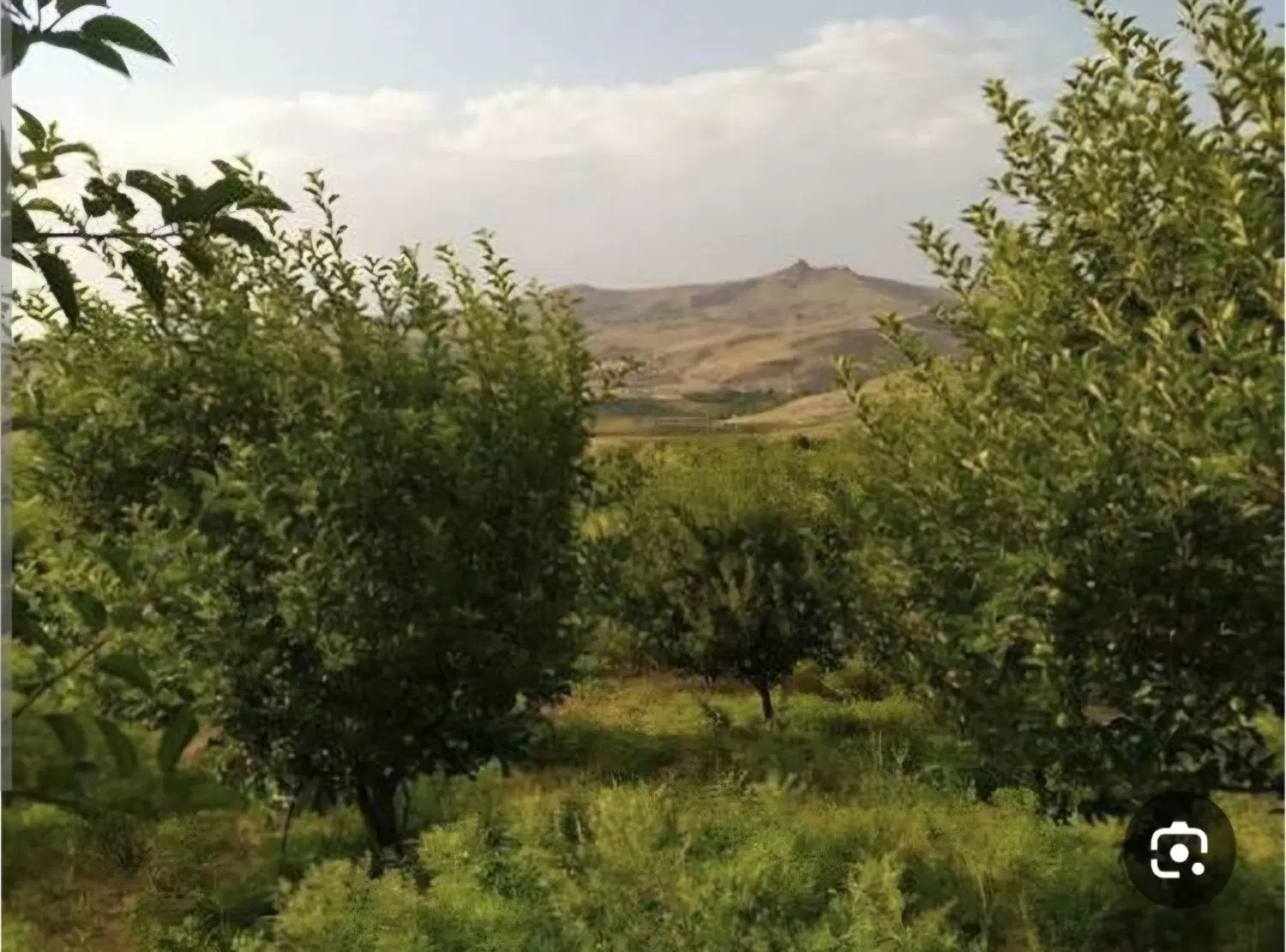 فروش زمین مسکونی