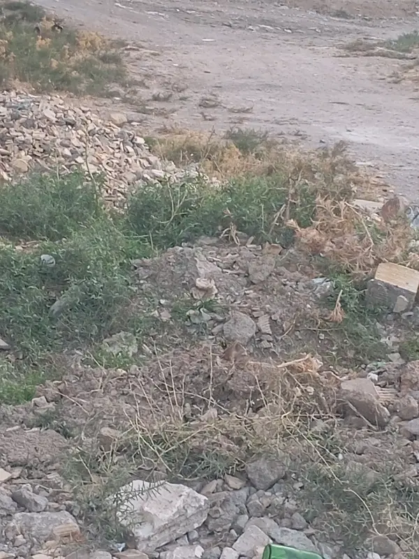یک قطعه زمین تجاری مسکونی