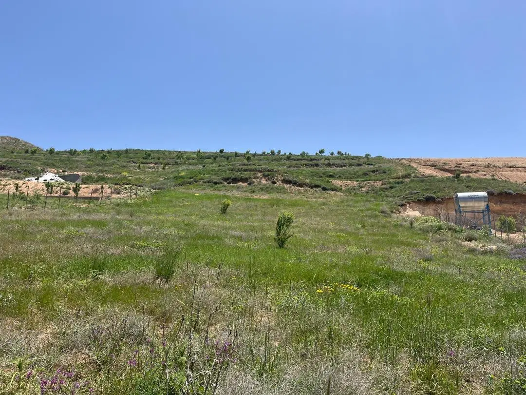 زمین روستای زرشک