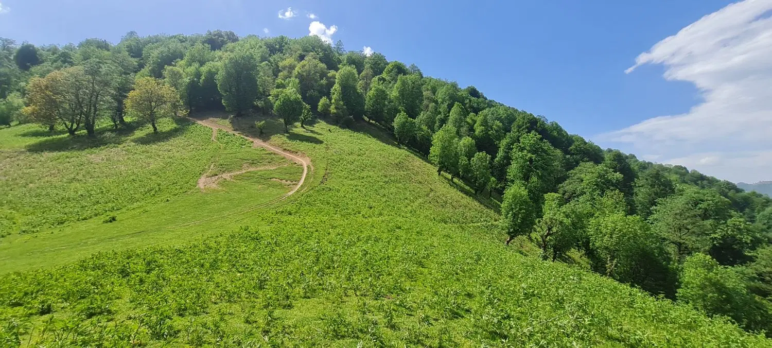 زمین بر خیابان اصلی