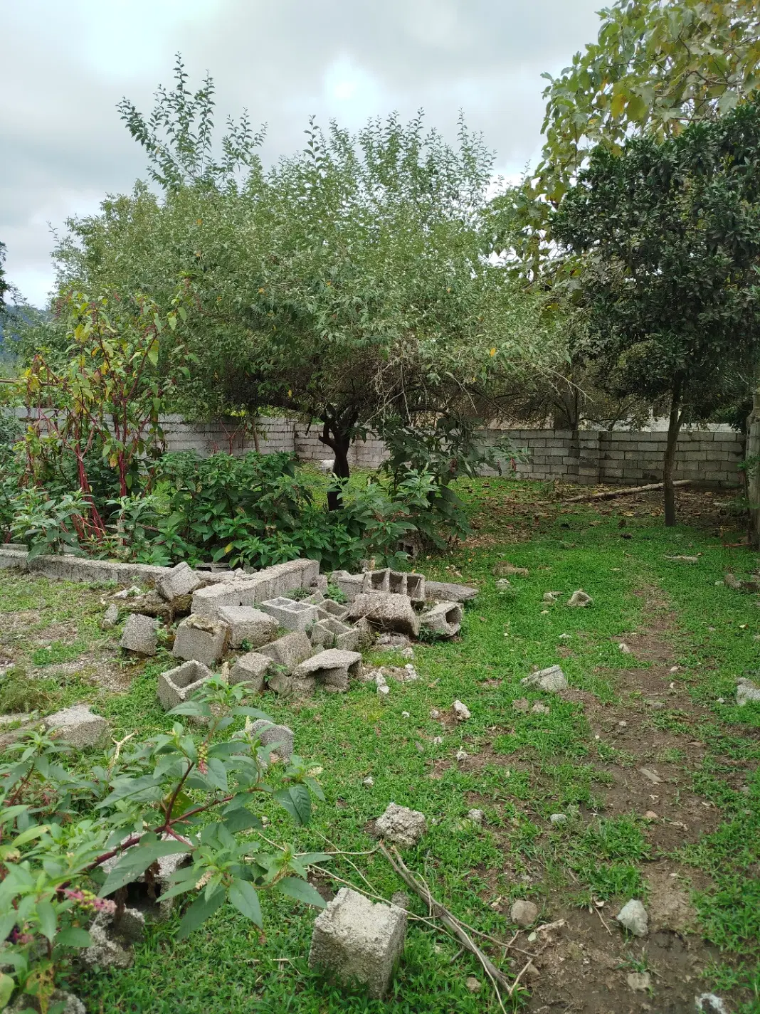 فروش زمین دیگه سرا