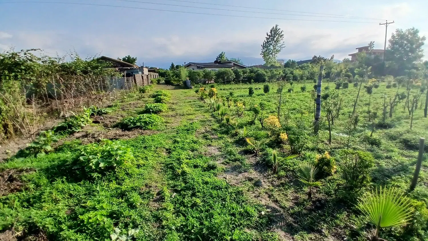 زمین ۱۱۵متری تجاری مسکونی شهرکی برکمربندی جدیدفاز۳
