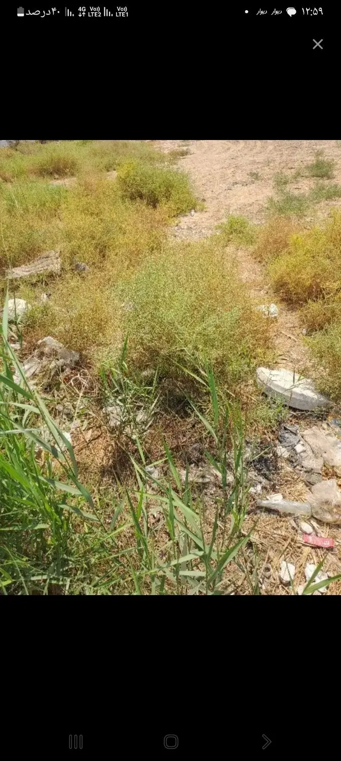 زمین محله امید