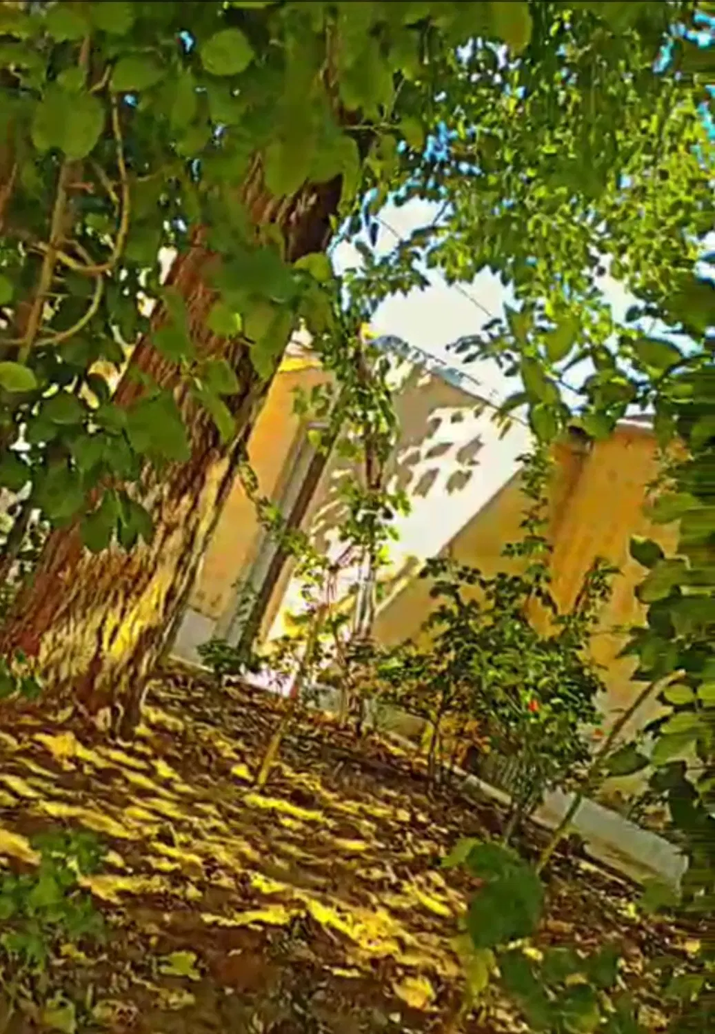 منزل