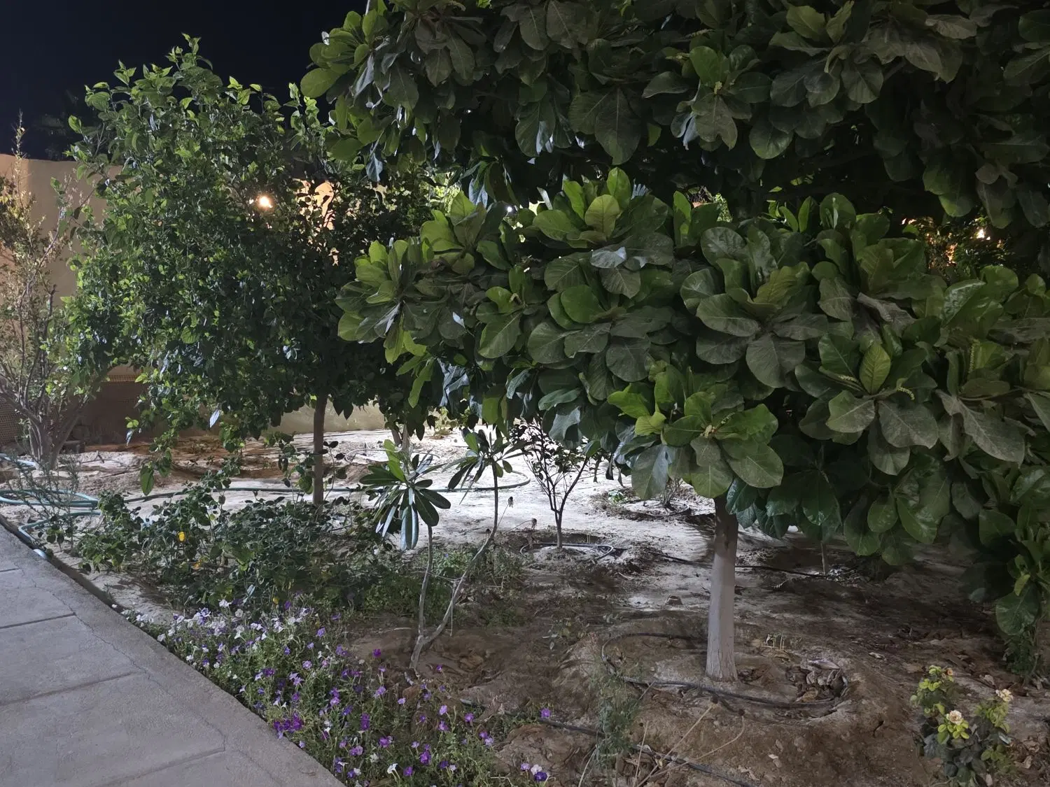 ویلا باغ،باغچه در گورک با امکان معاوضه
