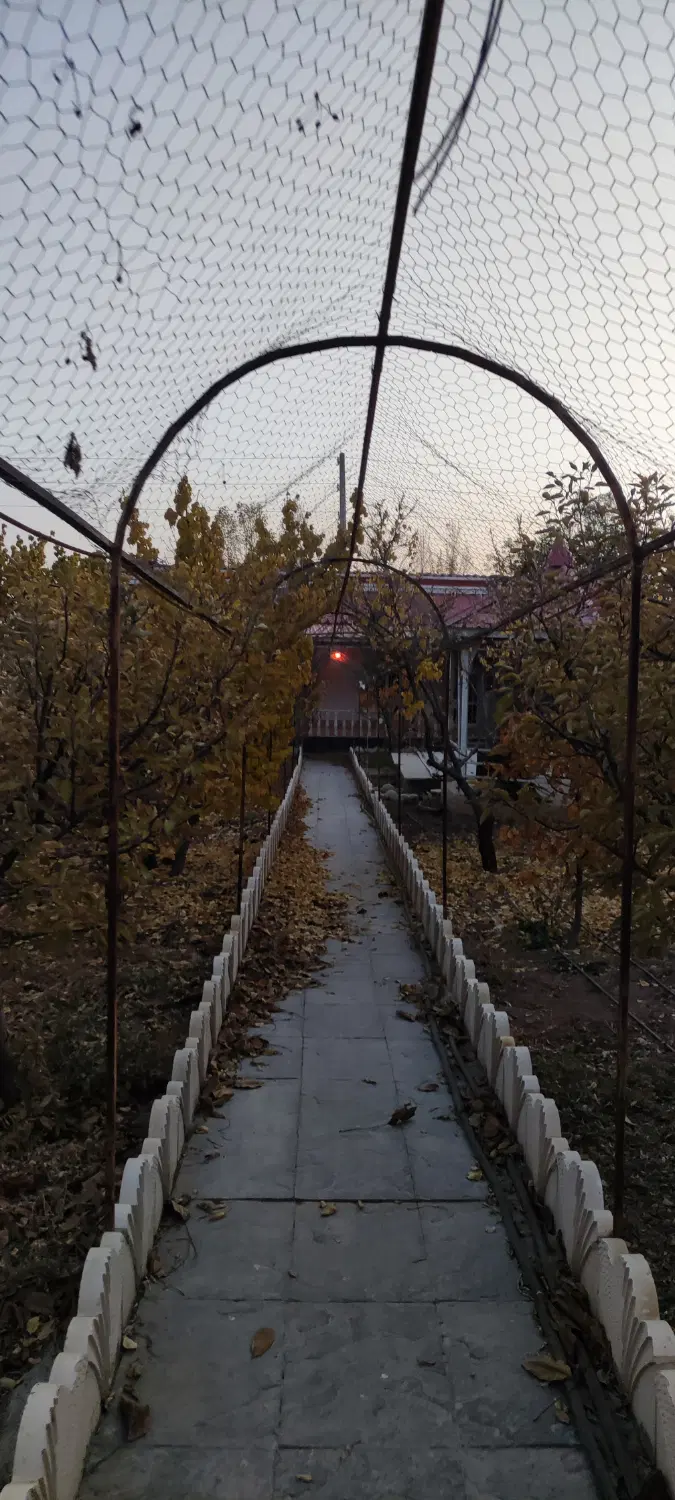 ۸۰۰ متر ویلا در جابان