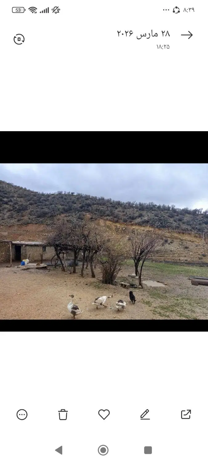 خانه گلنگی و طویله 420متر، روستای فیروزآباد