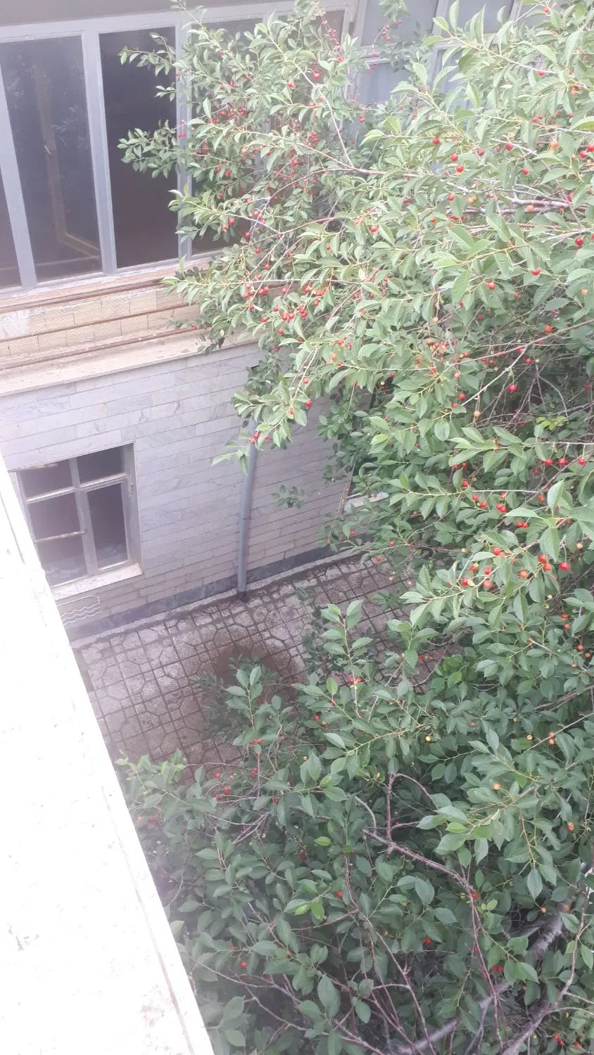 اجاره طبقه۱ از۲  سه خواب ۱۵۰ متر کمدسازی