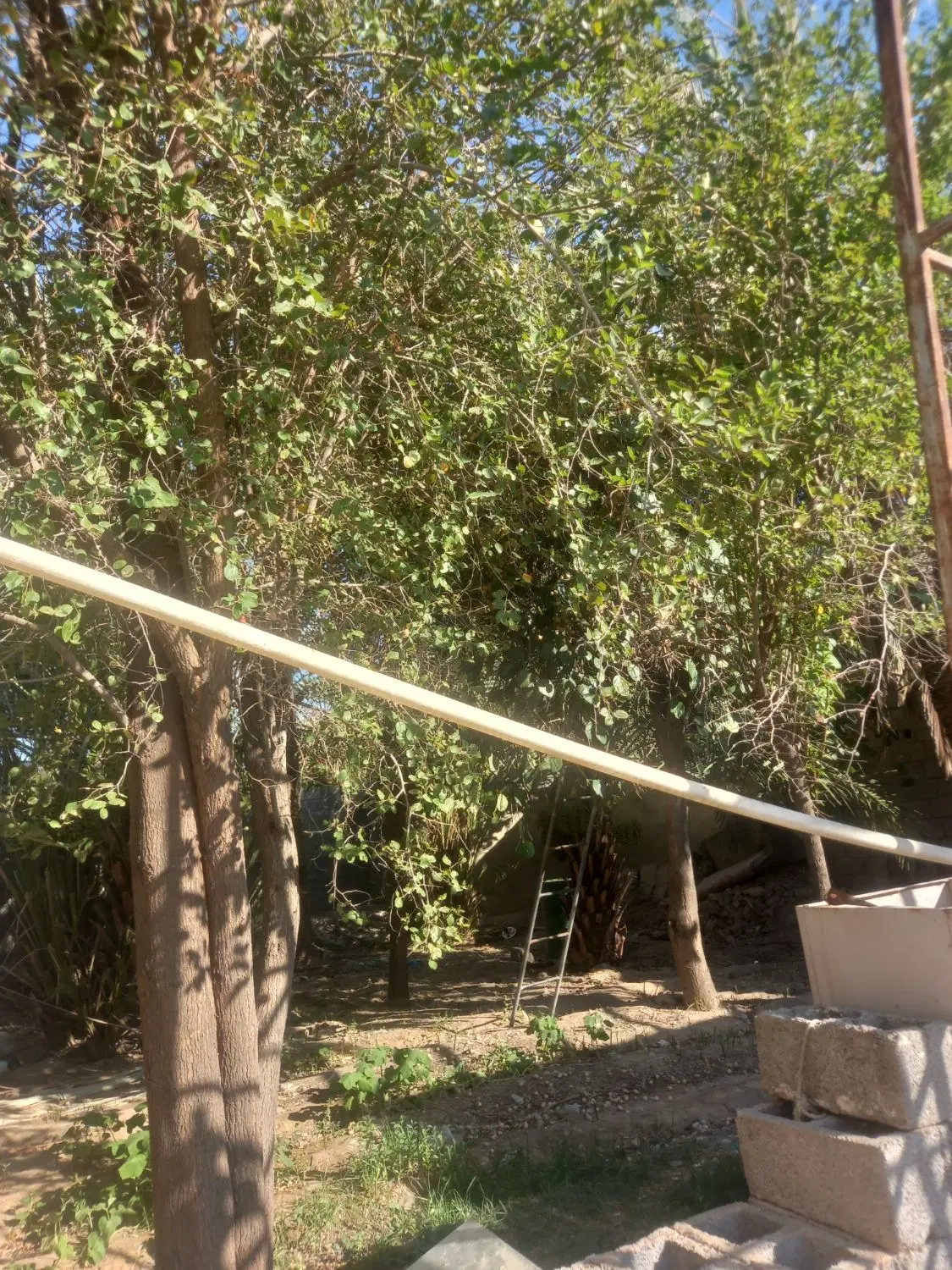زمین مسکونی روستای اسیاب خرمنزار