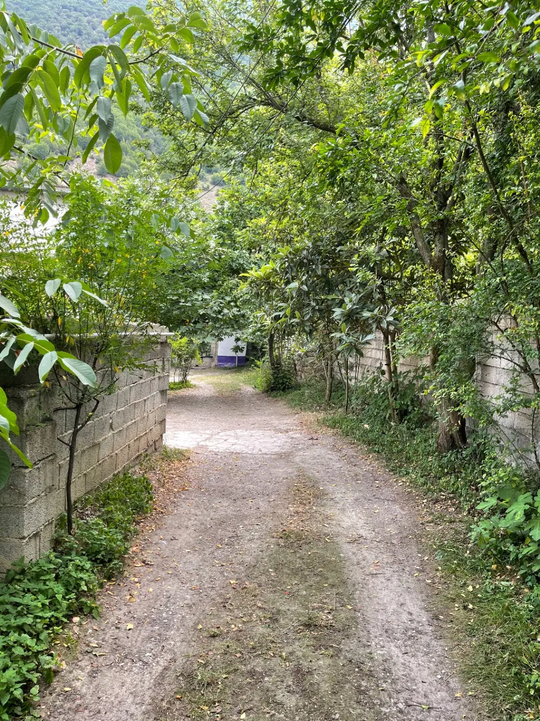 خونه باغ قدیمی سندار