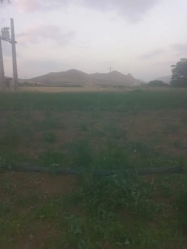 اجاره سه هکتار زمین ابی