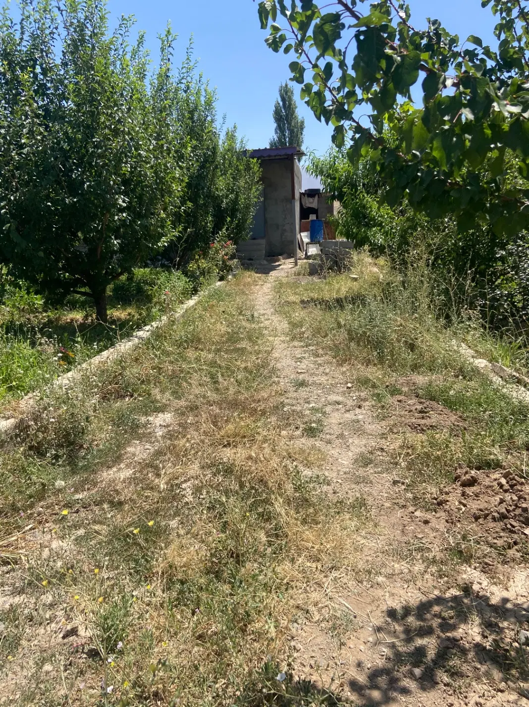 باغ روستای ریحان