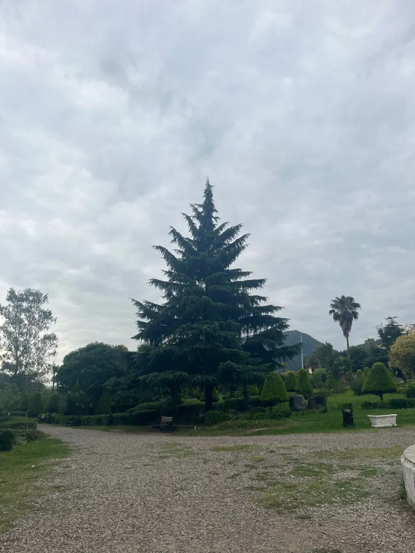 ملک تجاری