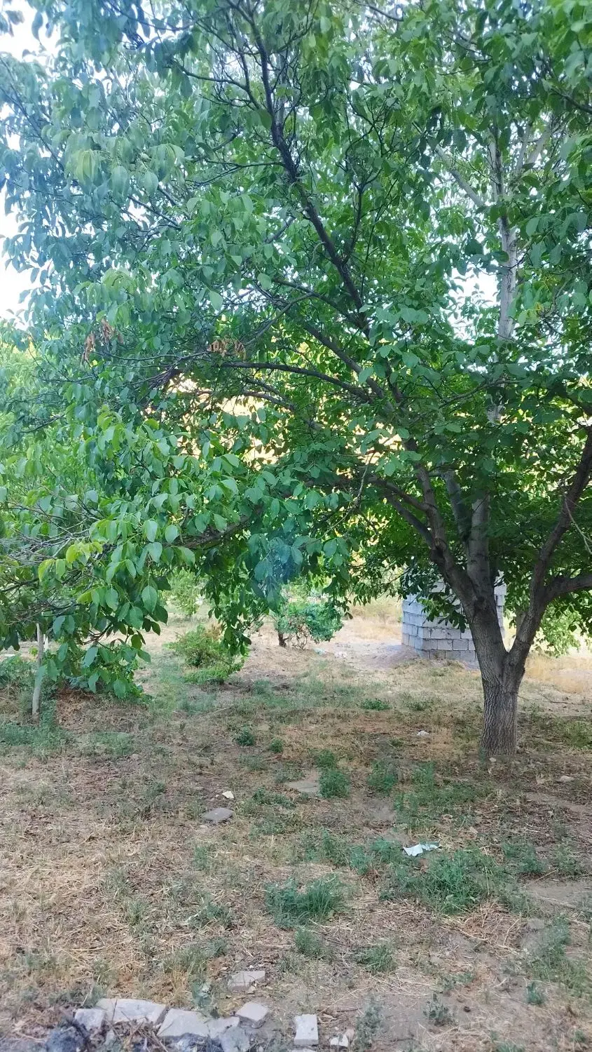 مزرعه باغ و باغچه پل زمانخان