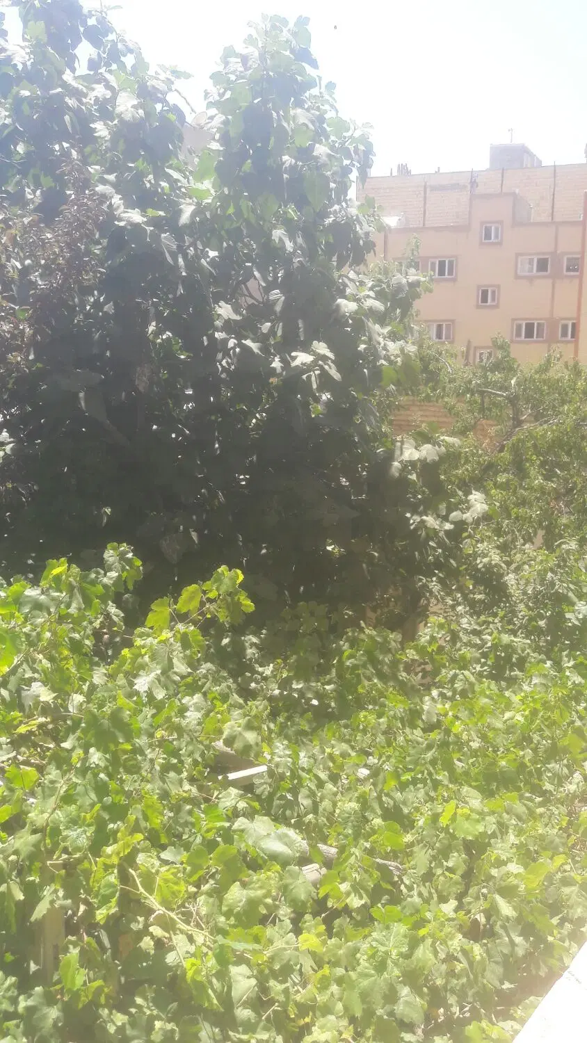 فروش خانه مسکونی ویلایی دوطبقه بزرگ در سراه توکلی