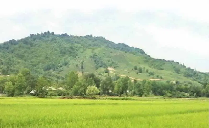 فروش زمین