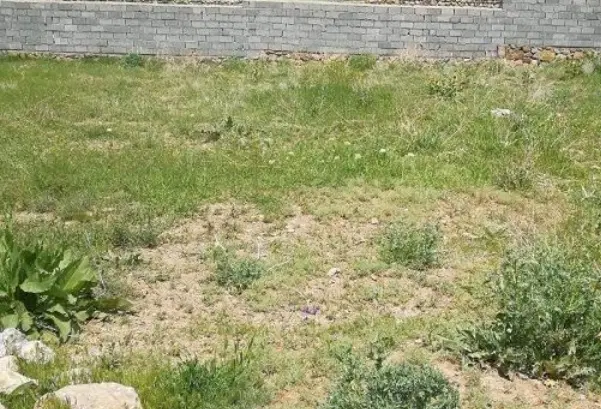 فروش زمین