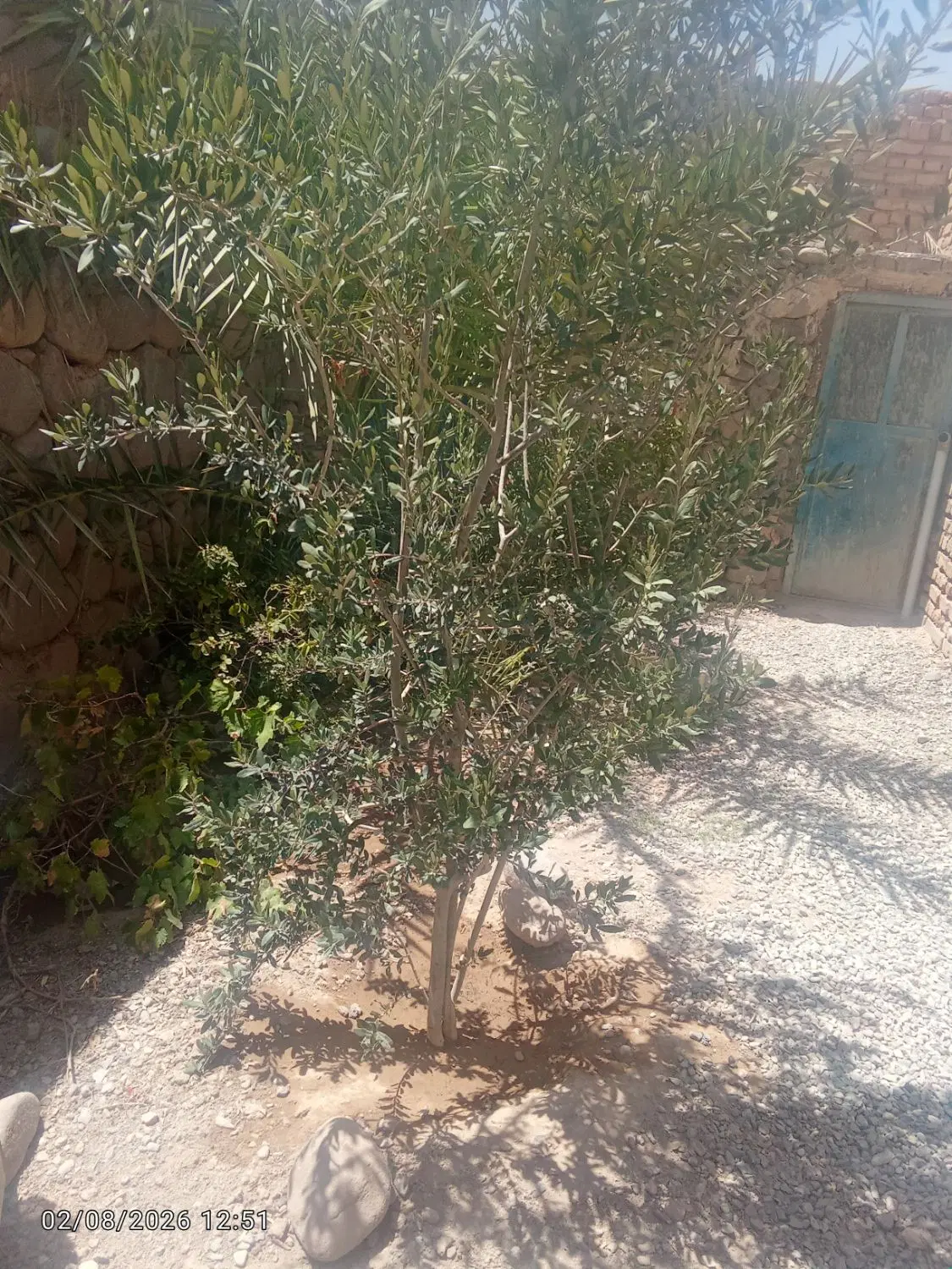 اجاره یک اتاق در روستای اسماعیل اباد