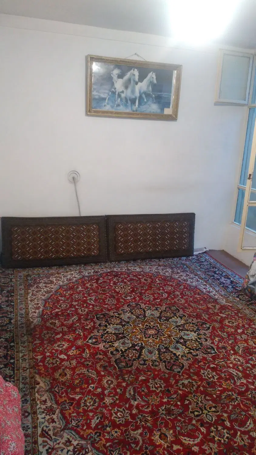 حیاط جنوبی دارای مغازه برپاستورجدید۴