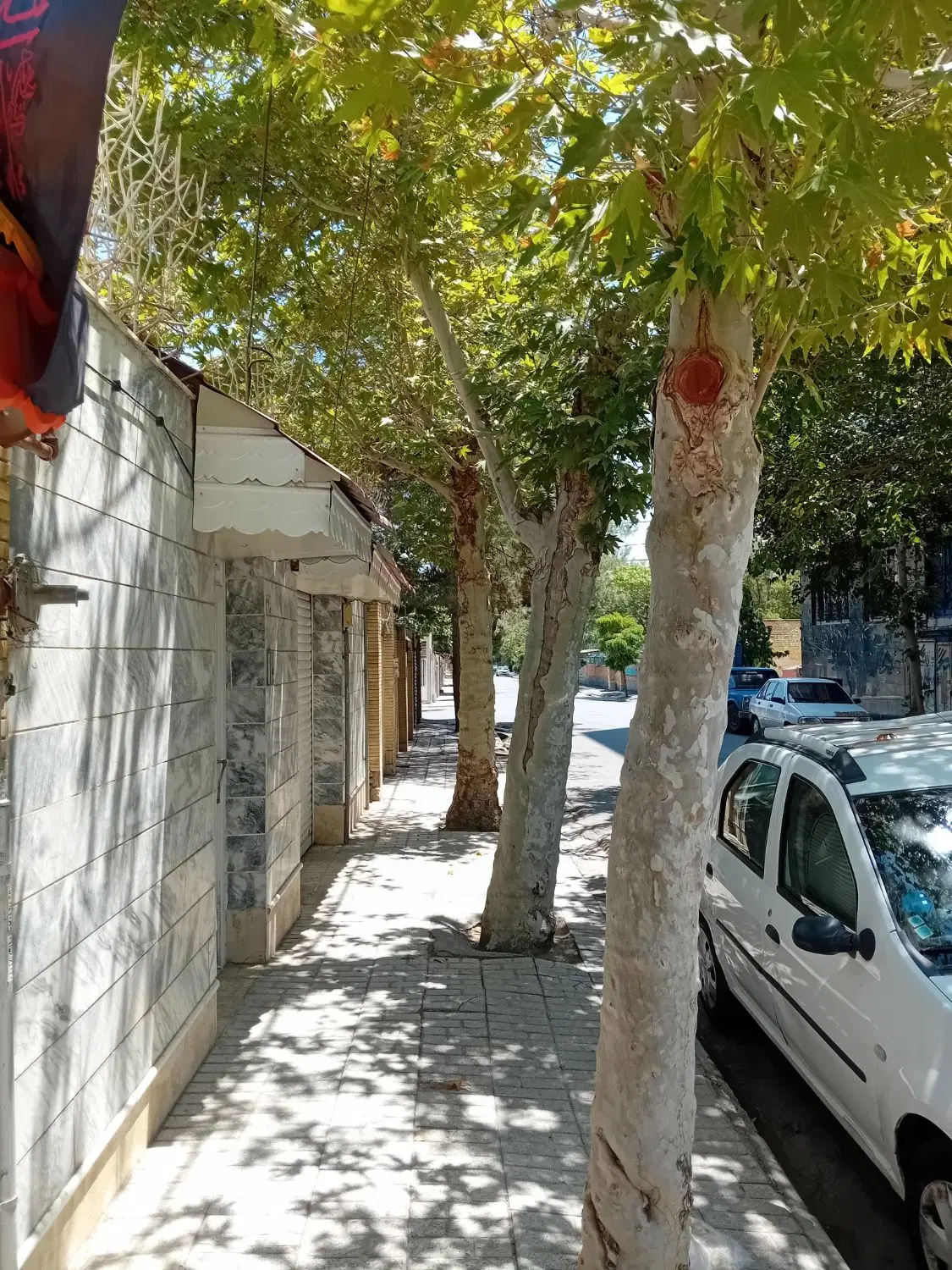 ویلایی کوثر جنوبی_ 250 متری _ عرض ۱۰