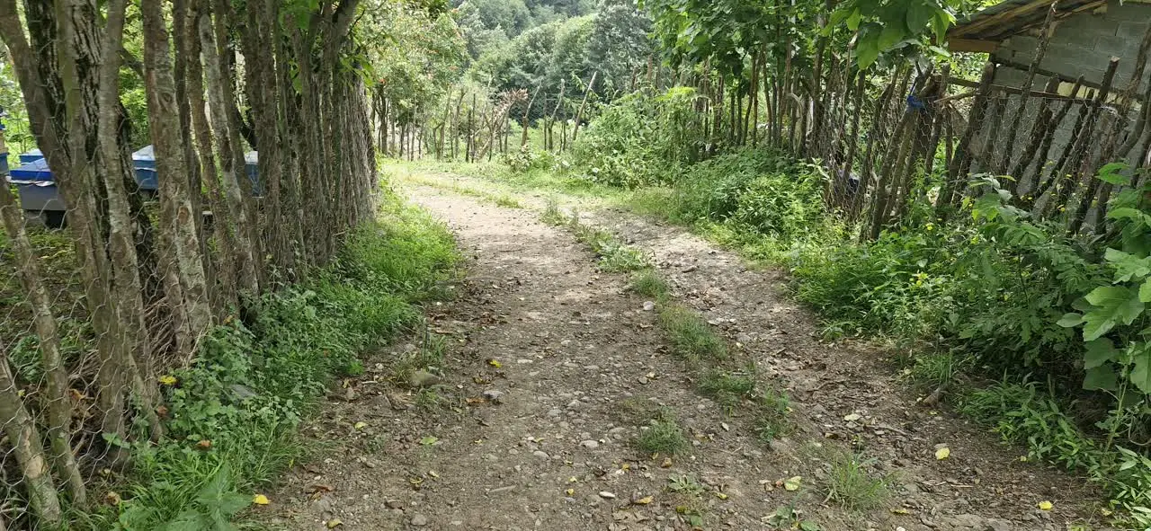 ۱۰۰۰متر باغی لنگرود اطاقور