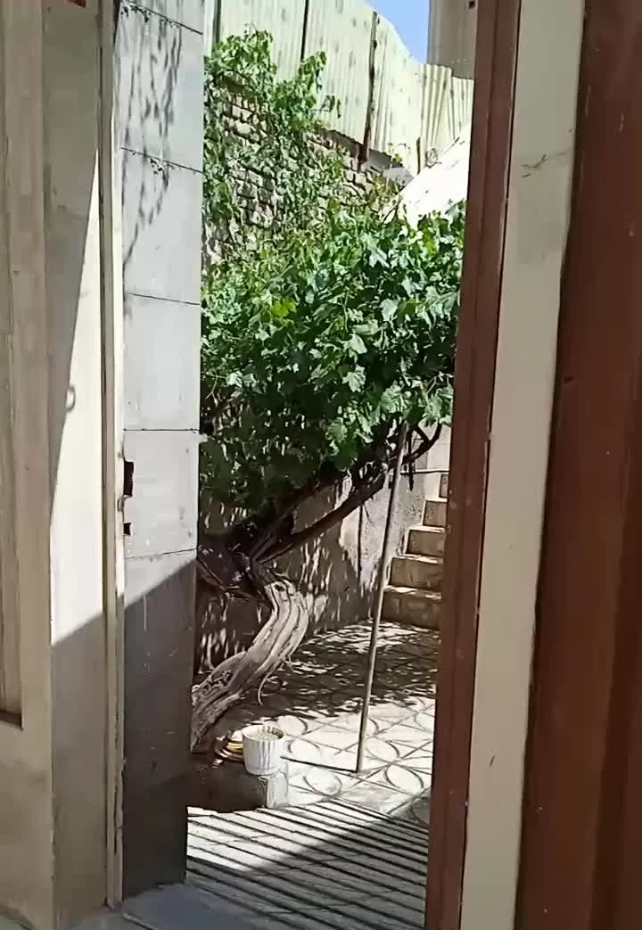 رهن