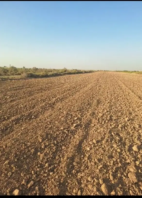 زمین یک هکتار ونیم